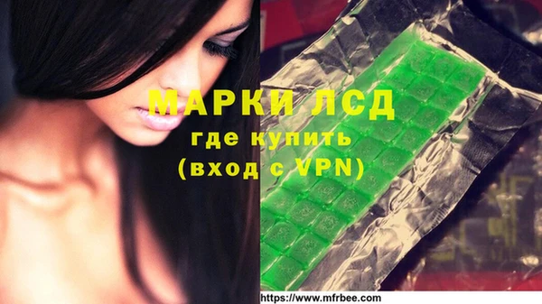 спайс Алзамай