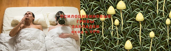 синтетический гашиш Алексин