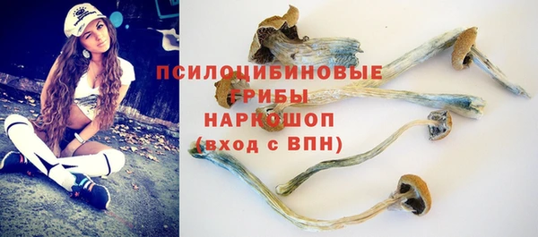 гидра Алексеевка