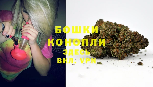 крисы Нефтегорск