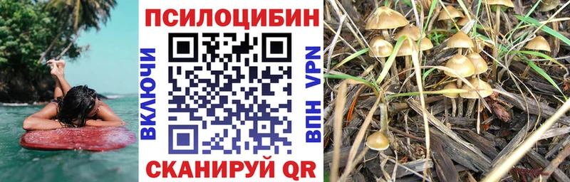 Псилоцибиновые грибы GOLDEN TEACHER  как найти наркотики  ссылка на мегу зеркало  Любим 
